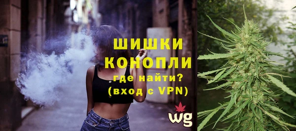 apvp Кострома
