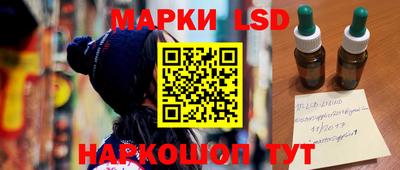 шишки Гатчина