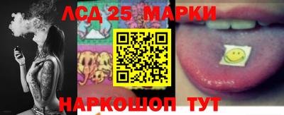 шишки Гатчина