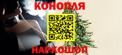 крисы Гагарин