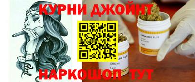 крисы Гагарин
