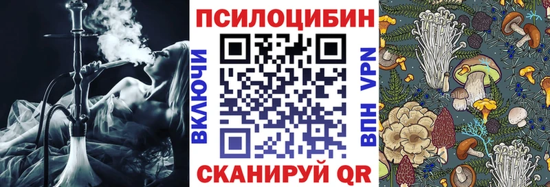 Псилоцибиновые грибы Cubensis Пятигорск