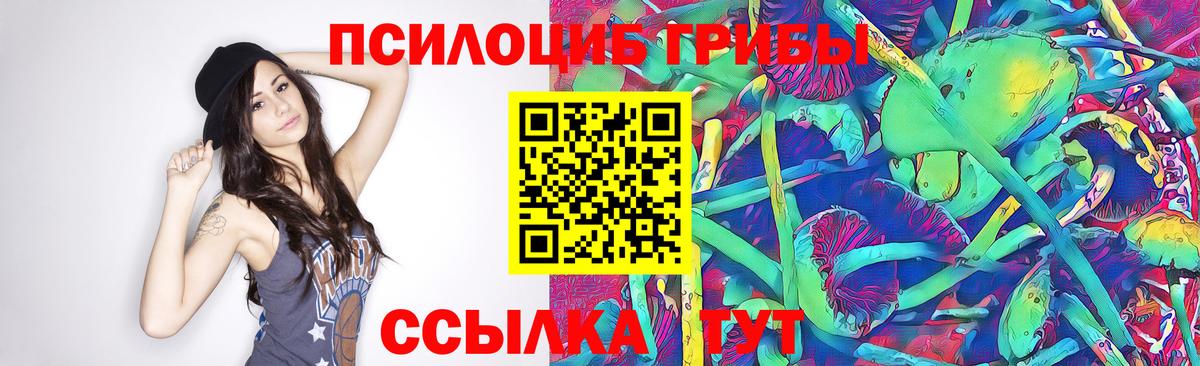 Пятигорск  Галлюциногенные грибы Psilocybine cubensis  Вход с VPN 